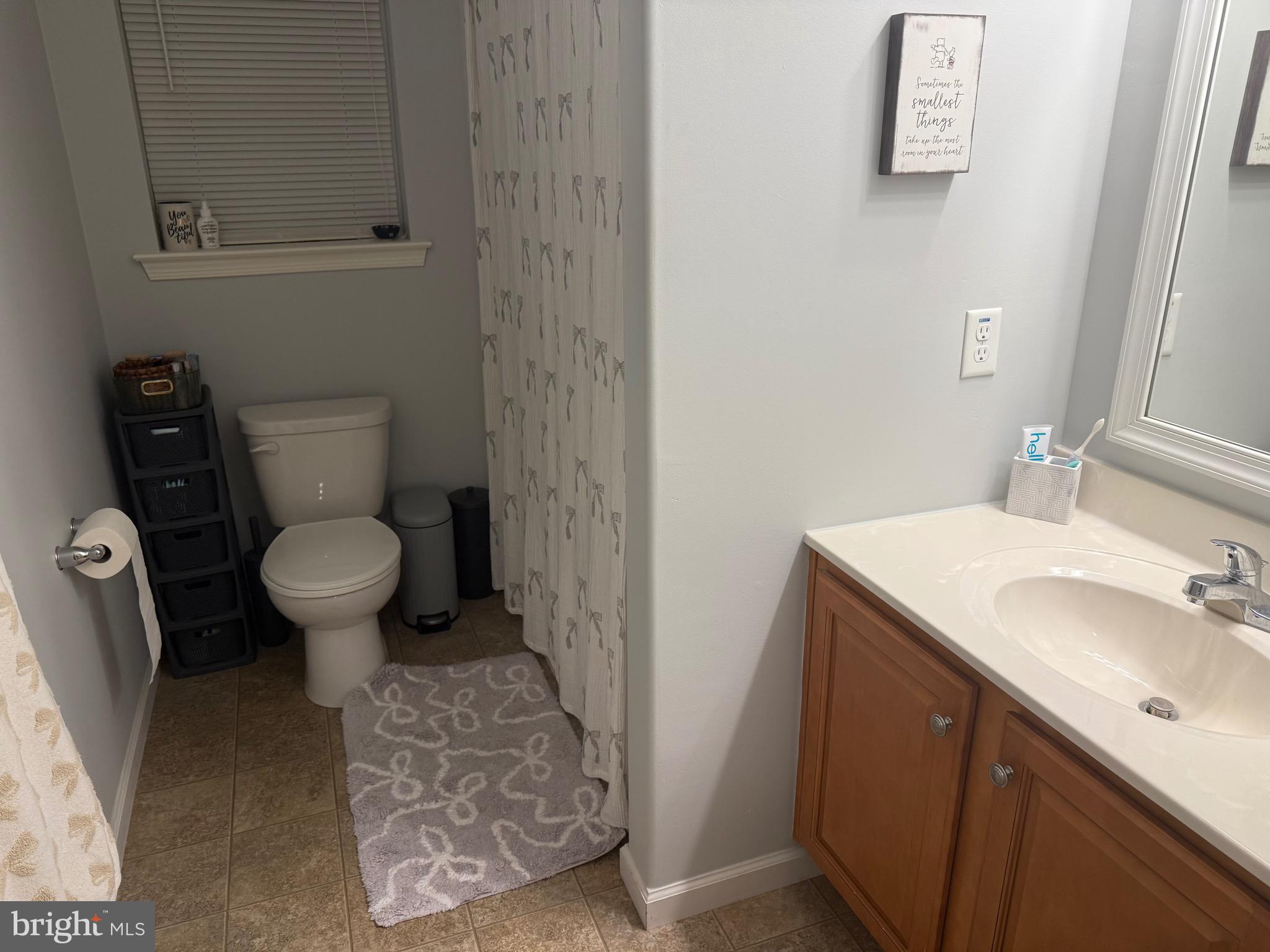 1799 Campus Road Elizabethtown, PA 17022 - Photo 27 of 28 a bathroom with a sink toilet and a mirror