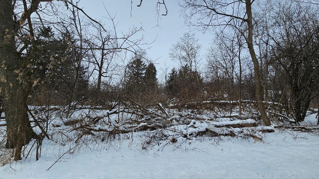 Lt8050 Quail Road, Unit 8055 Geneva, WI 53147 - Photo 5 of 5 lot 2