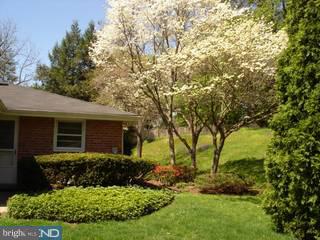 8907 Patton Road Wyndmoor, PA 19038 - Photo 4 of 6 Gallery Image 4