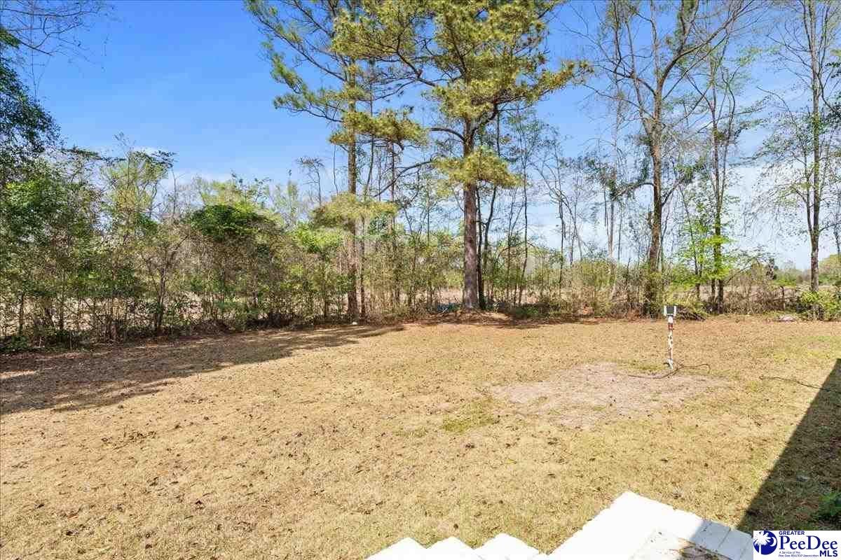 100 Wall Street Marion, SC 29571 - Photo 24 of 29 Gallery Image 24