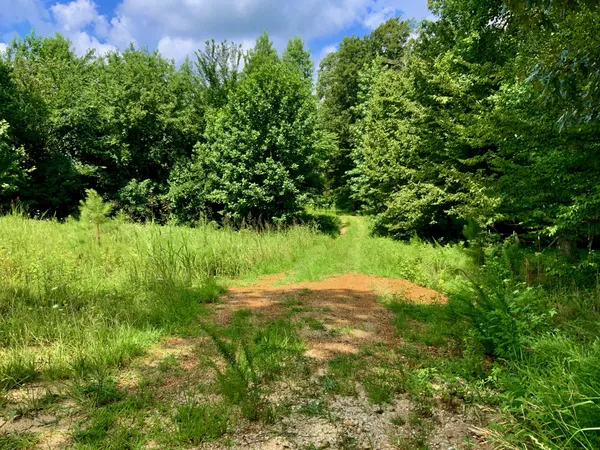 $58,000 | 806 Pettijohn Creek Road, Henry, TN 38231