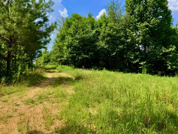 $58,000 | 806 Pettijohn Creek Road, Henry, TN 38231