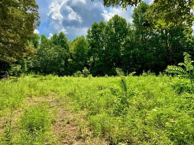 $58,000 | 806 Pettijohn Creek Road, Henry, TN 38231