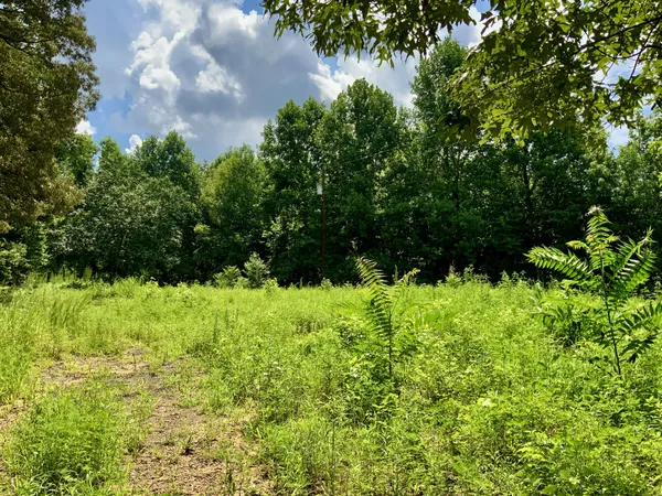 $58,000 | 806 Pettijohn Creek Road, Henry, TN 38231