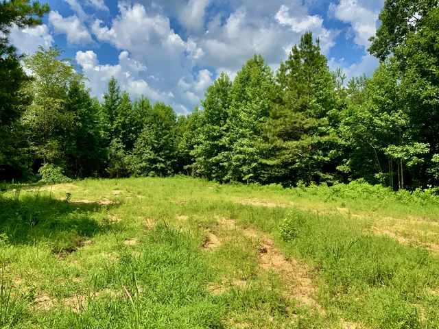 $58,000 | 806 Pettijohn Creek Road, Henry, TN 38231