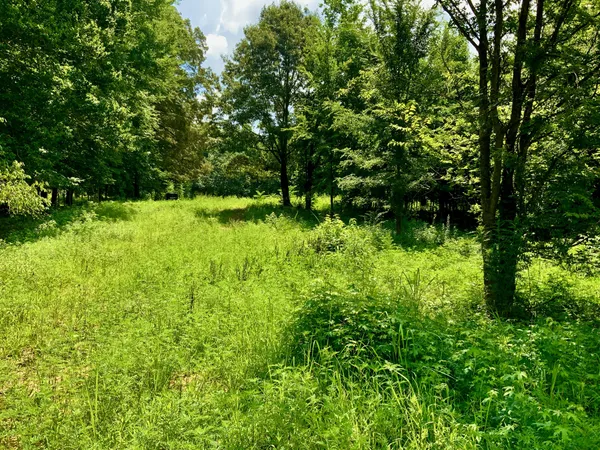 $58,000 | 806 Pettijohn Creek Road, Henry, TN 38231