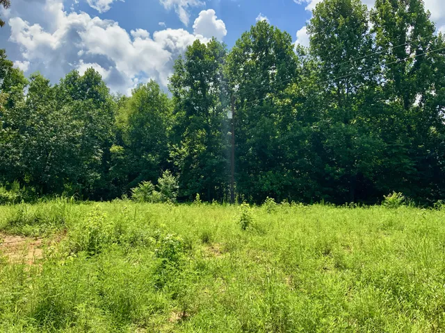 $58,000 | 806 Pettijohn Creek Road, Henry, TN 38231