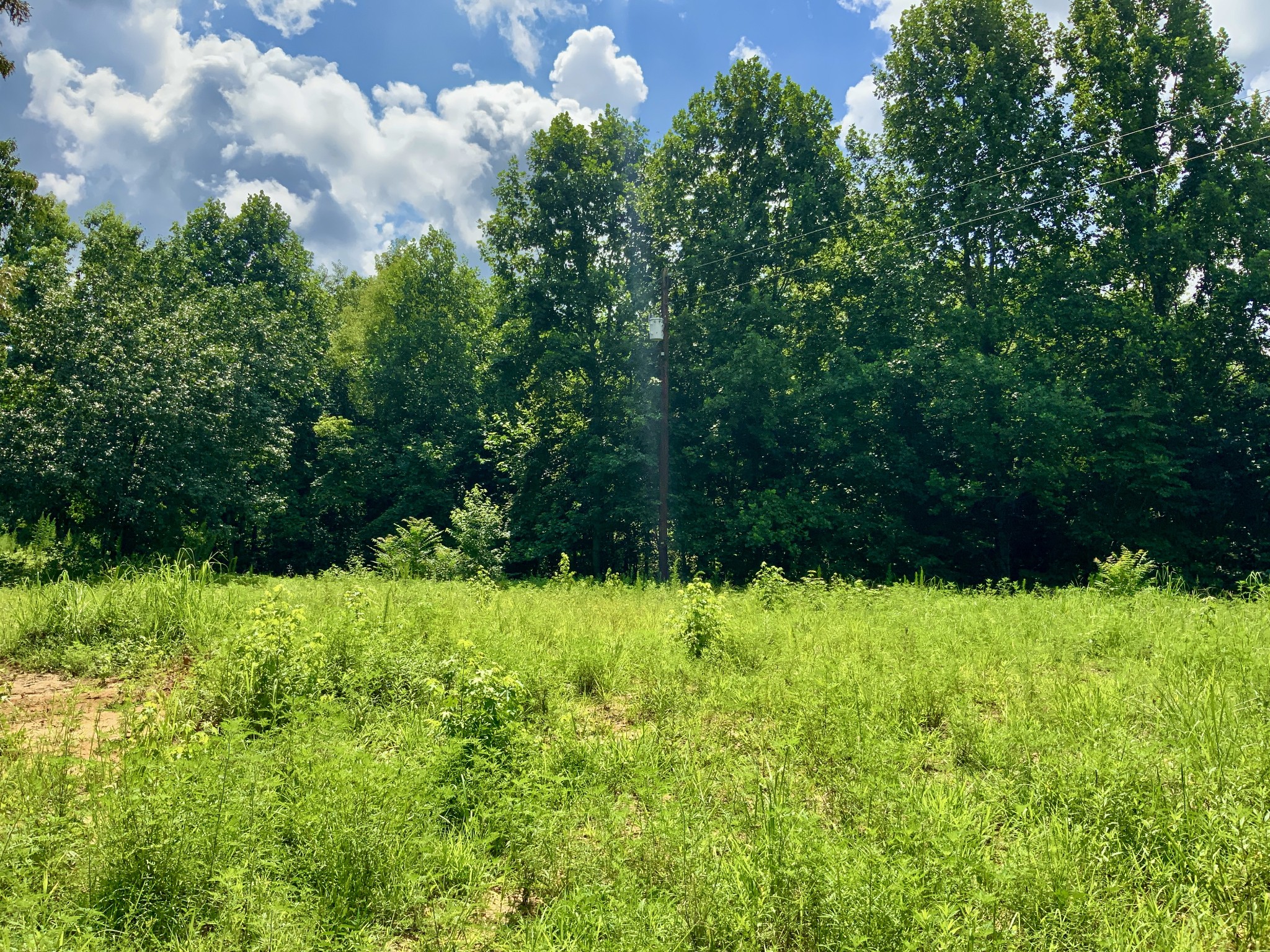 806 Pettijohn Creek Road Henry, TN 38231 - Photo 8 of 15