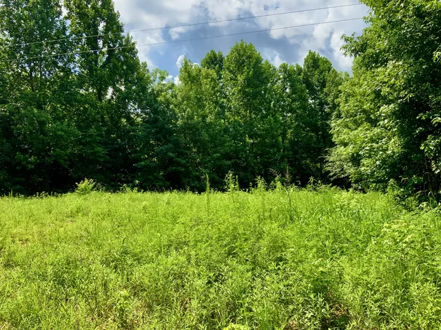 $58,000 | 806 Pettijohn Creek Road, Henry, TN 38231