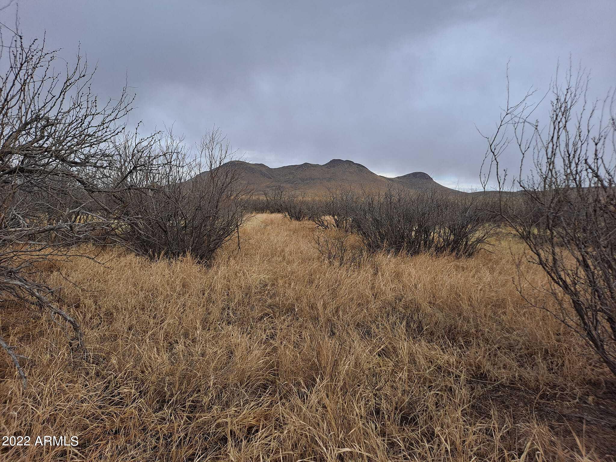 0 East Fawn Ranch Road, Unit 25 Pearce, AZ 85625 - Photo 1 of 19 272113924_5046836998710896_3847104538655