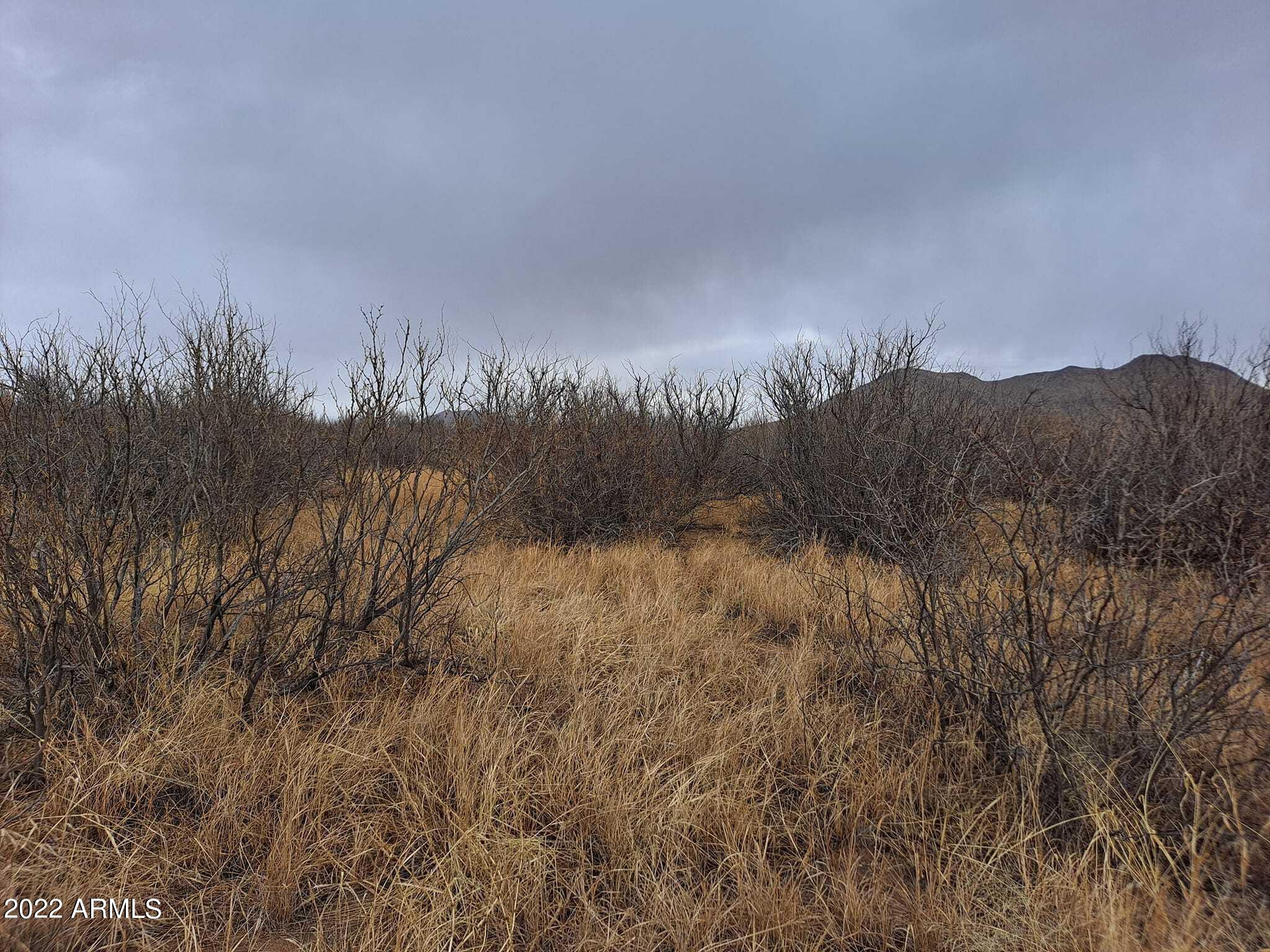 0 East Fawn Ranch Road, Unit 25 Pearce, AZ 85625 - Photo 14 of 19 272271846_5046839695377293_4851830157584