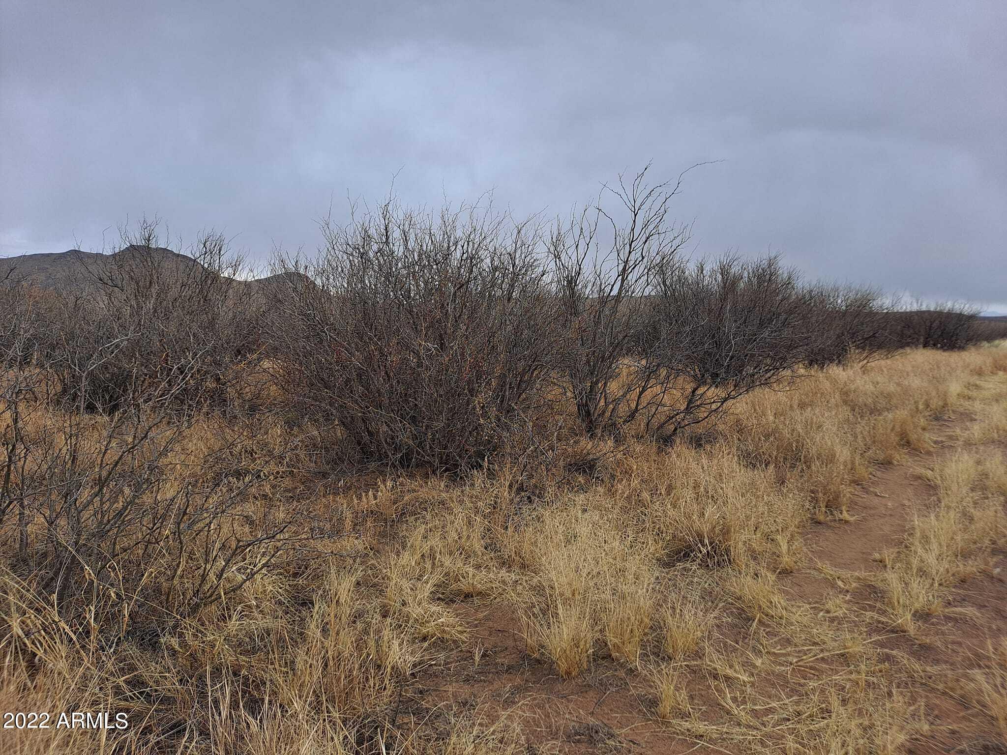 0 East Fawn Ranch Road, Unit 25 Pearce, AZ 85625 - Photo 10 of 19 271920449_5046850815376181_9190083511784
