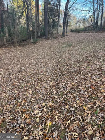 a backyard of a house with lots of trees