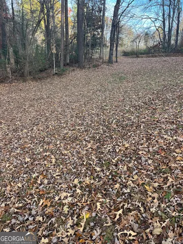 a backyard of a house with lots of trees