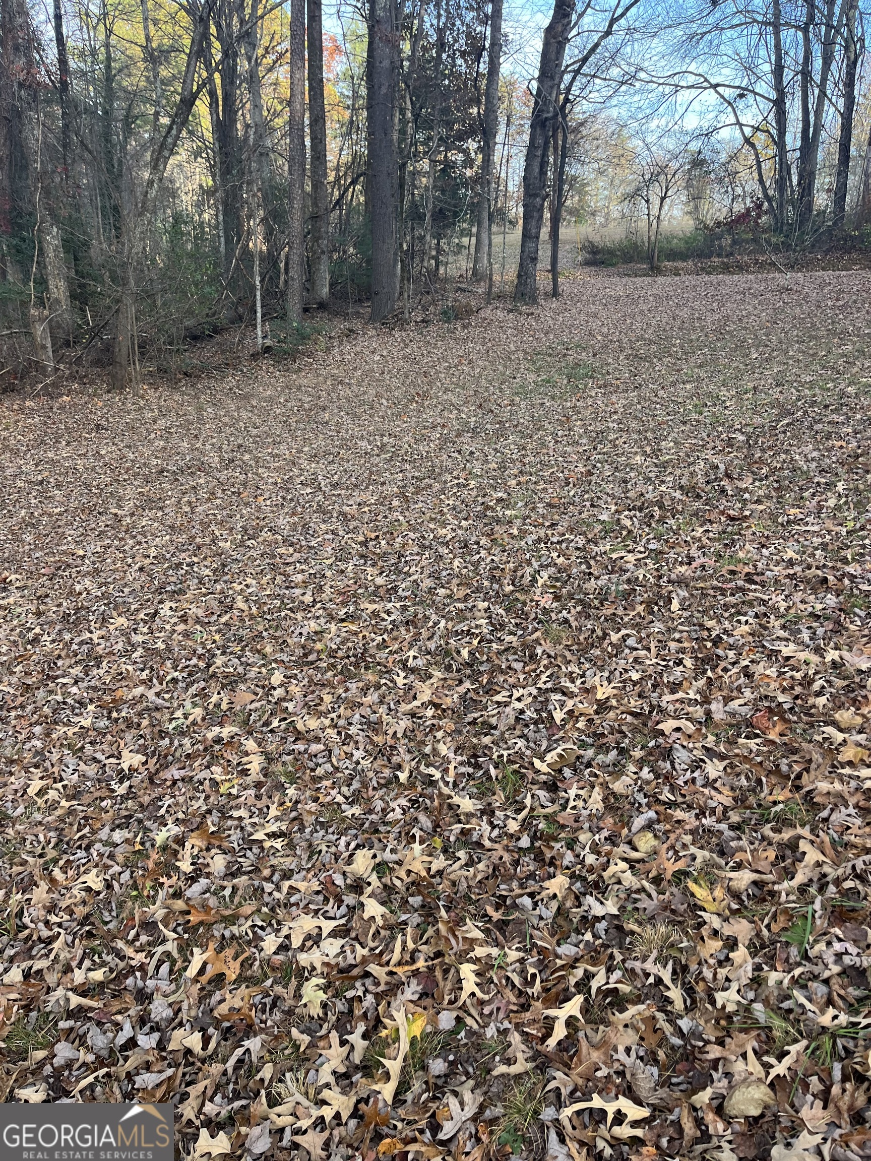 56 Carin Lane Tiger, GA 30576 - Photo 13 of 15 a backyard of a house