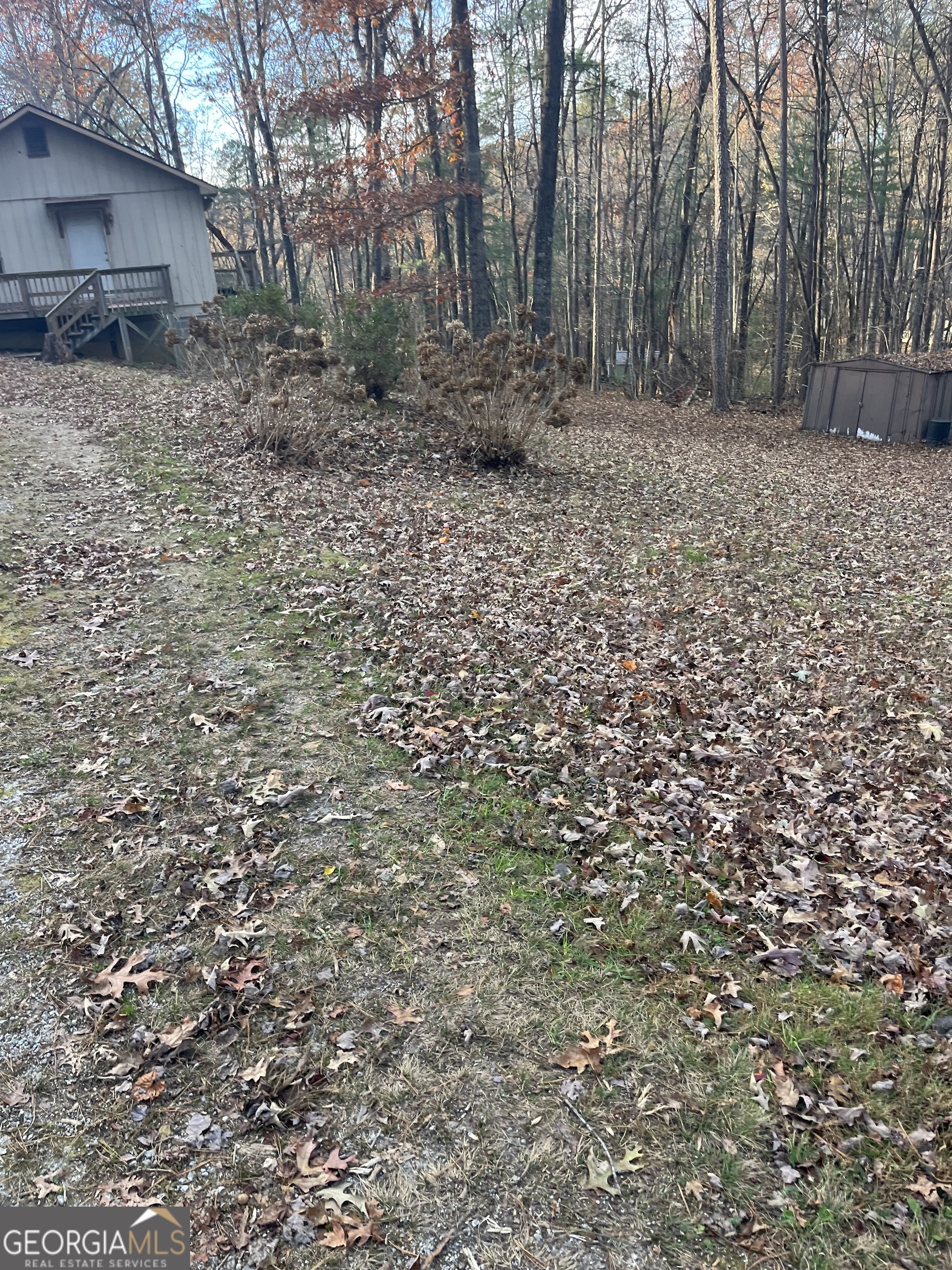 56 Carin Lane Tiger, GA 30576 - Photo 14 of 15 a backyard of a house with lots of trees