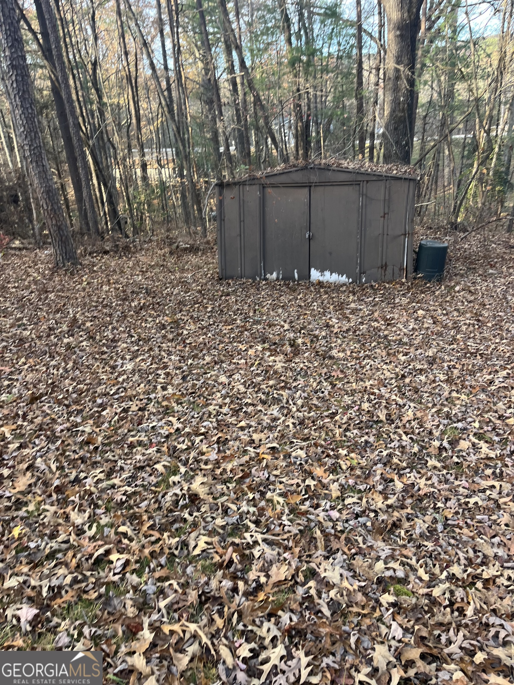 56 Carin Lane Tiger, GA 30576 - Photo 15 of 15 a view of garden