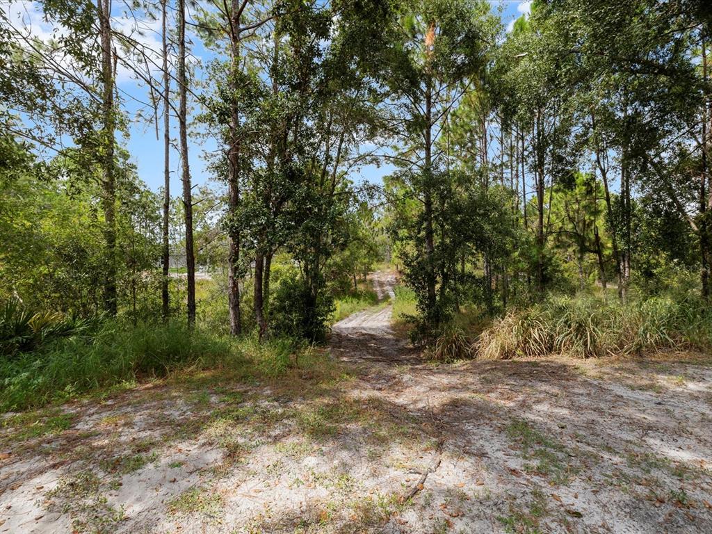 4219 Surfside Circle Spring Hill, FL 34606 - Photo 55 of 65