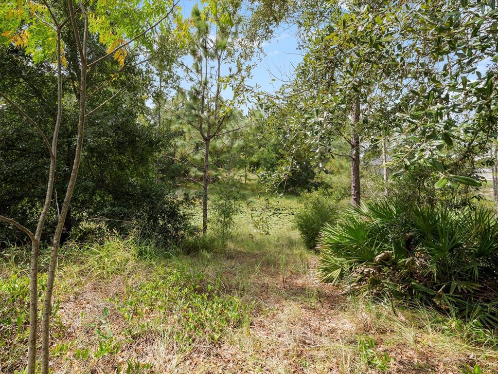 4219 Surfside Circle Spring Hill, FL 34606 - Photo 56 of 65