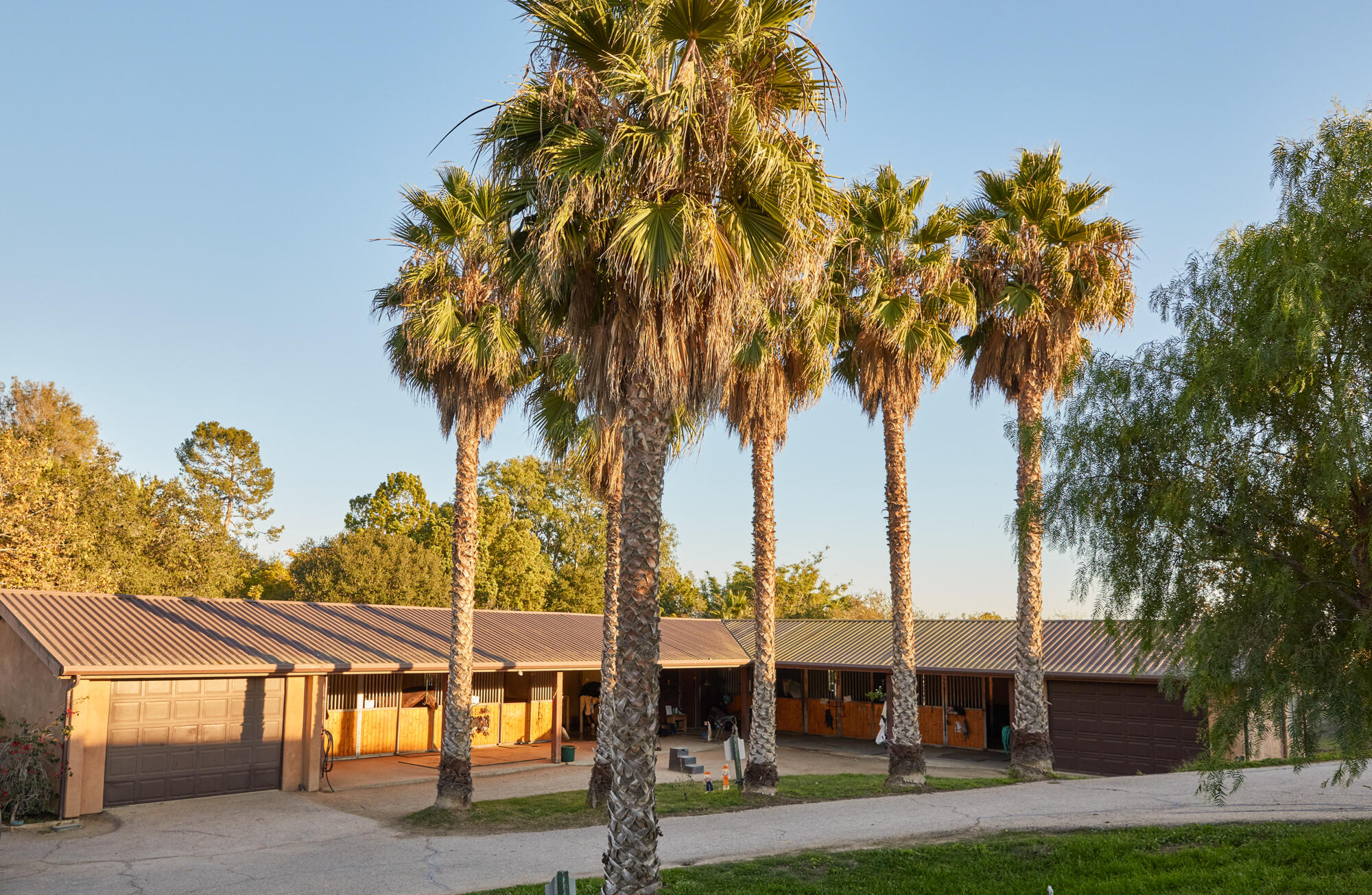 1220 Franklin Ranch Road Goleta, CA 93117 - Photo 28 of 30 a view of a swimming pool with a lawn chairs and palm trees