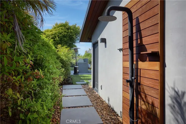 a view of a yard with plants