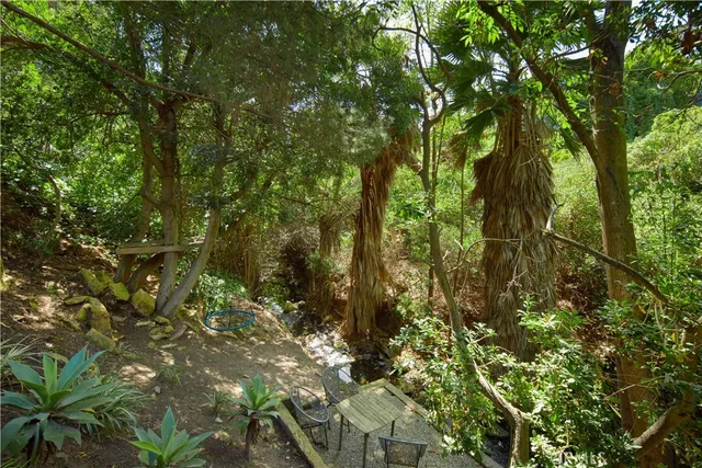 a view of a yard with plants and large trees