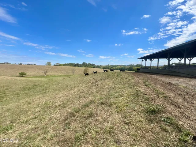 $4,900,000 | 1550 Mt Hope Road, Unit 2, Mohawk, TN 37810