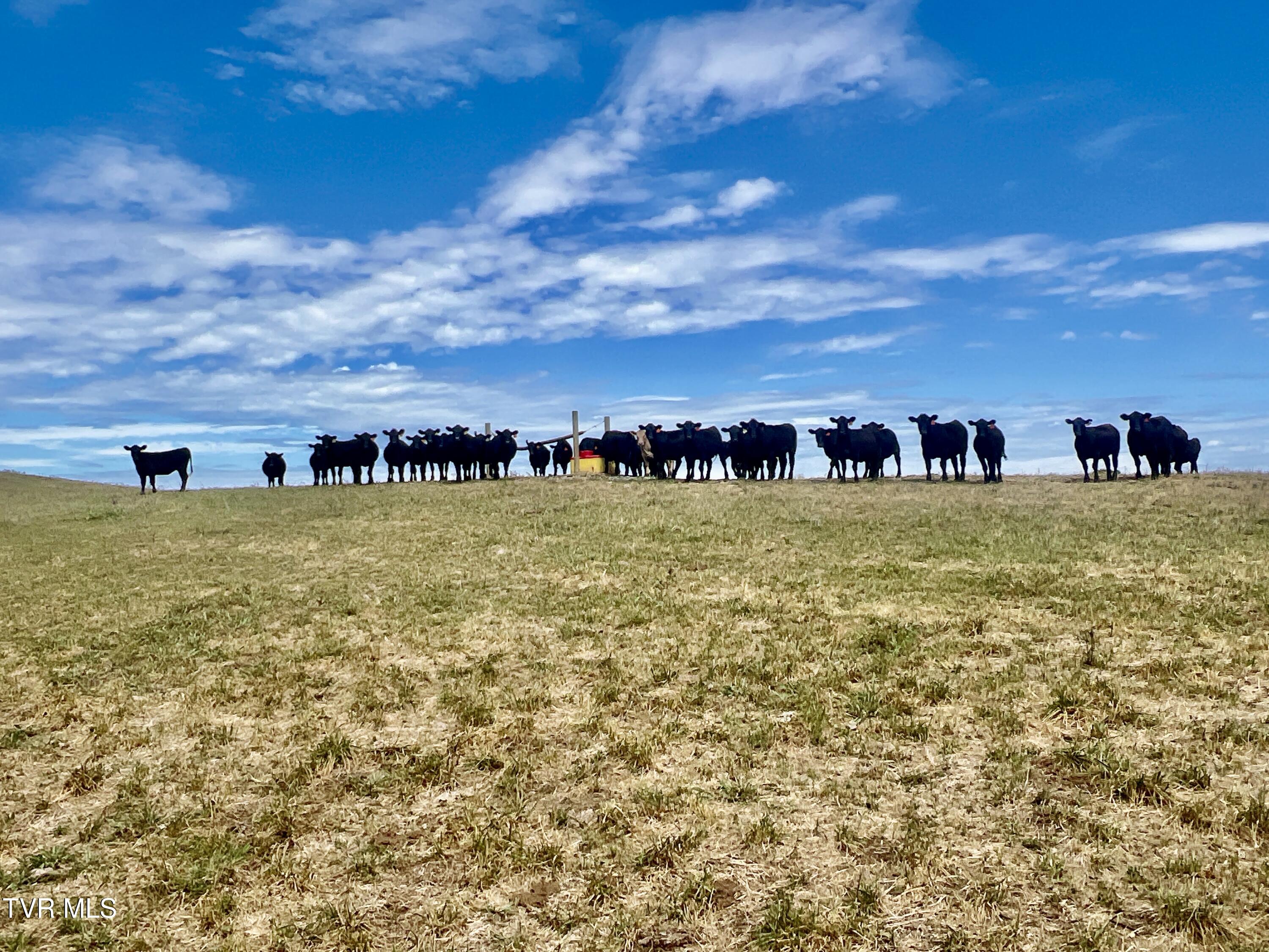 1550 Mt Hope Road, Unit 2 Mohawk, TN 37810 - Photo 48 of 50 _Pic47 (26)