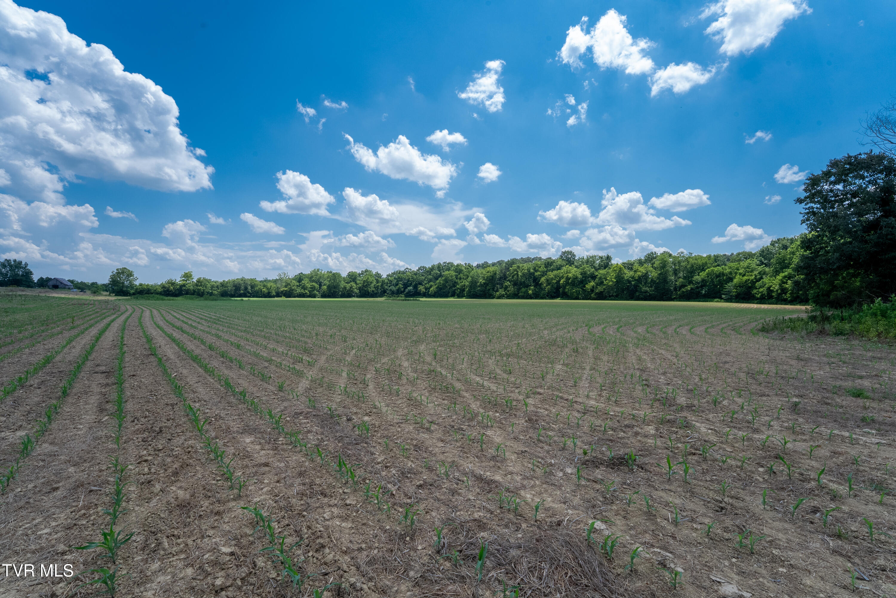 1550 Mt Hope Road, Unit 2 Mohawk, TN 37810 - Photo 5 of 50 _Pic5 (67)