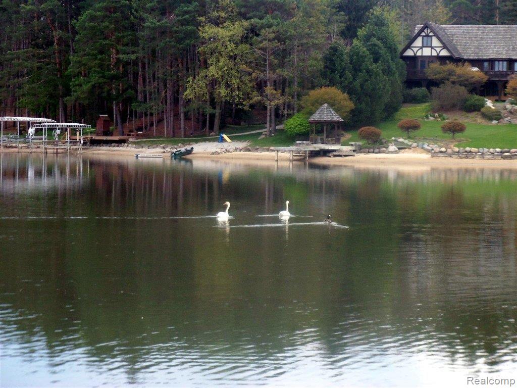 2863 Bullock Road Metamora, MI 48455 - Photo 25 of 25 Swans.JPG