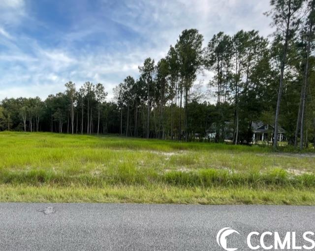 472 Highway Conway Sc 29526 Conway, SC 29526 - Photo 1 of 3