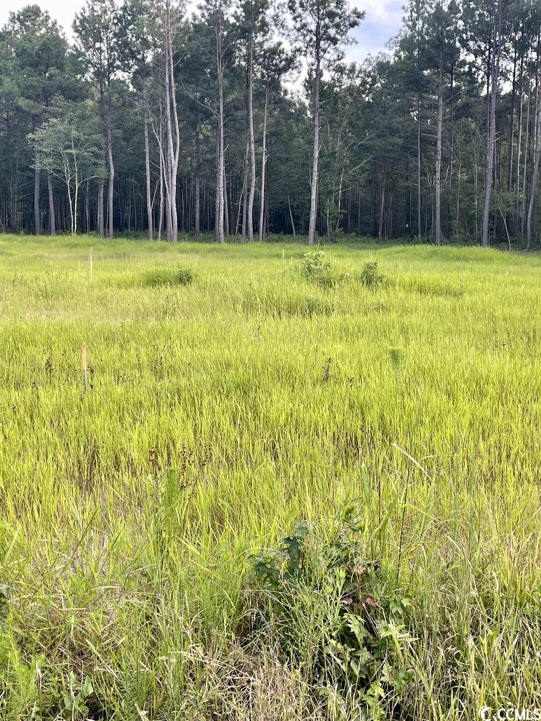 472 Highway Conway Sc 29526 Conway, SC 29526 - Photo 2 of 3