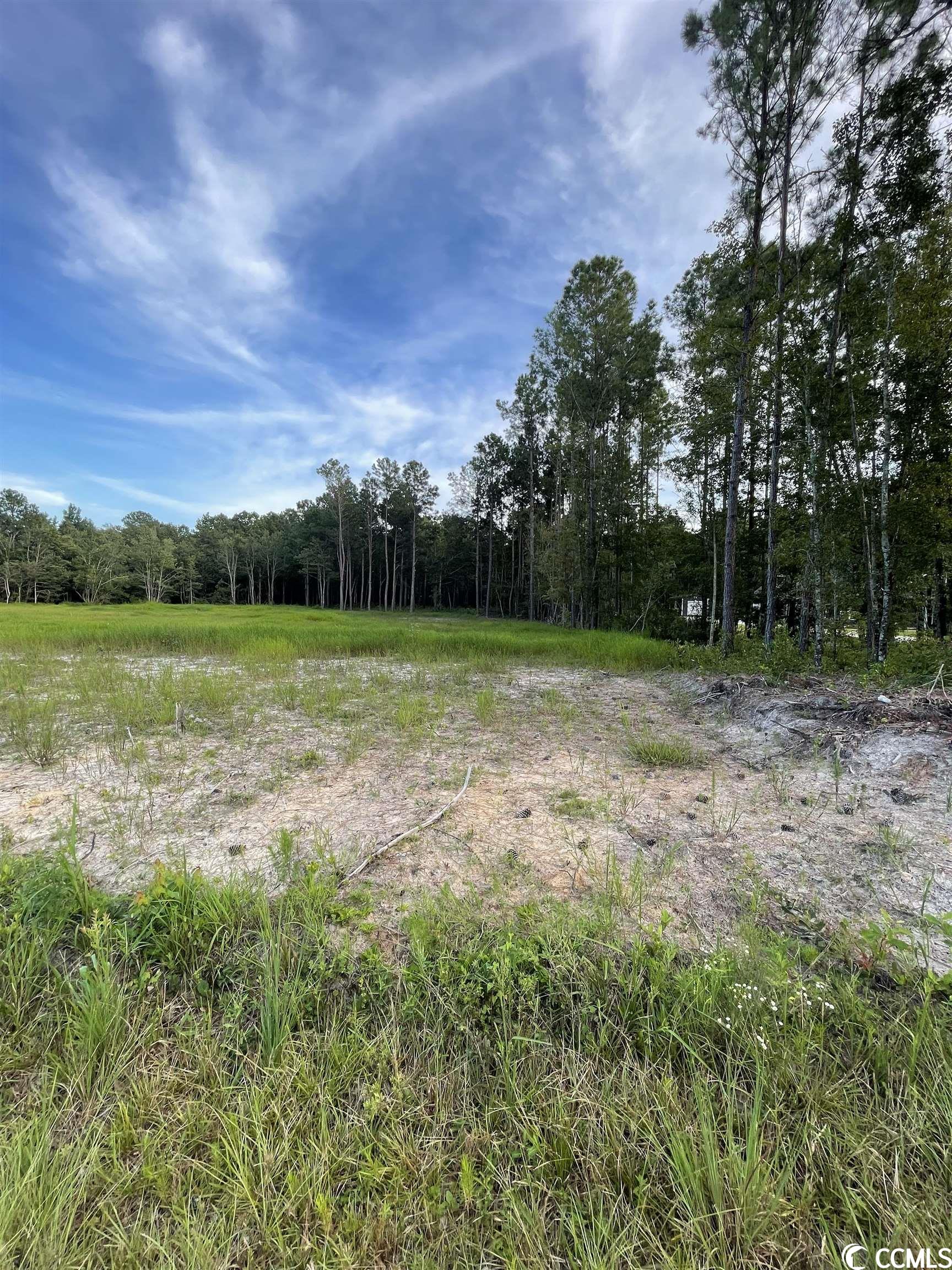 472 Highway Conway Sc 29526 Conway, SC 29526 - Photo 3 of 3
