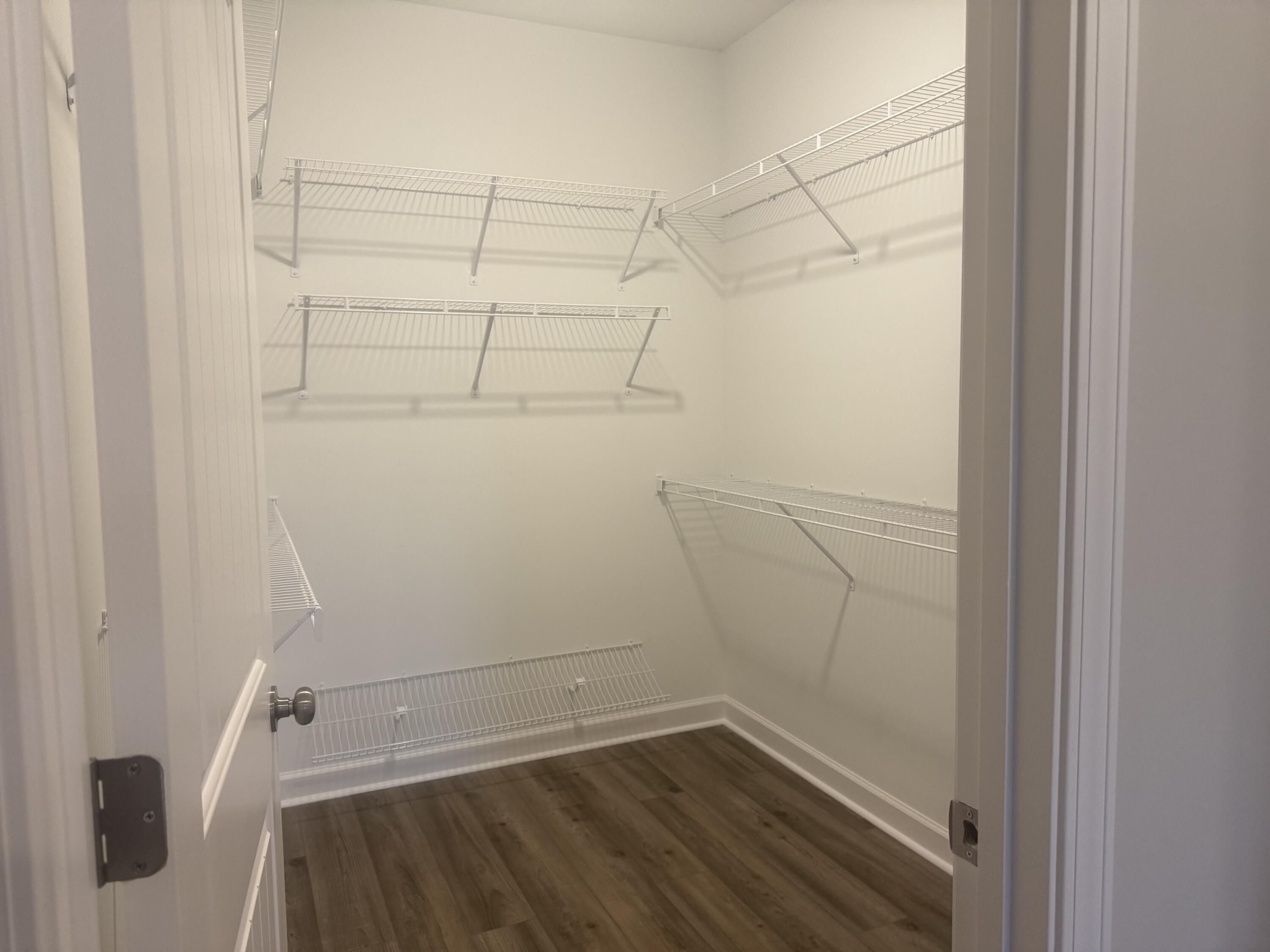 4175 Adelaide Loop Aiken, SC 29803 - Photo 13 of 22 Primary Closet