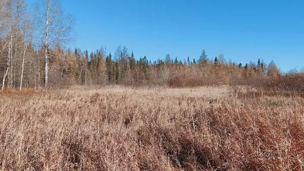 $195,000 | 10478 Leander Road, Angora, MN 55703