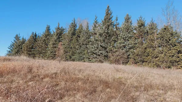 $195,000 | 10478 Leander Road, Angora, MN 55703