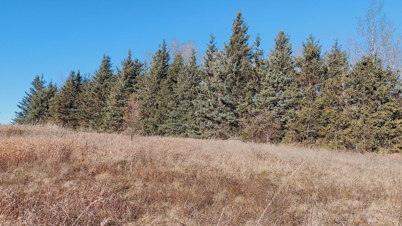 10478 Leander Road Angora, MN 55703 - Photo 29 of 35