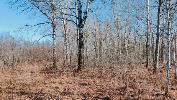 $195,000 | 10478 Leander Road, Angora, MN 55703