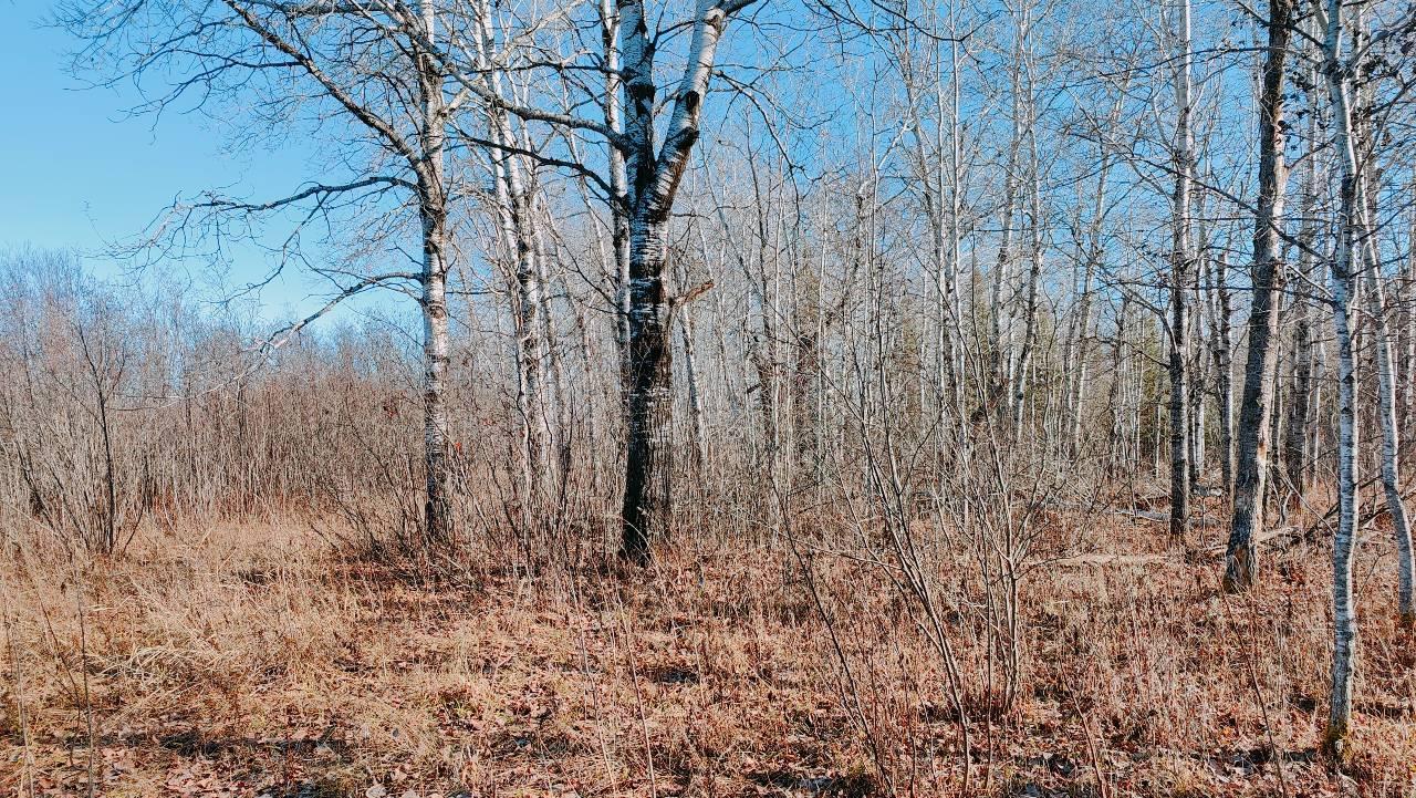 10478 Leander Road Angora, MN 55703 - Photo 30 of 35