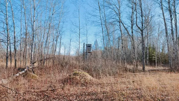 $195,000 | 10478 Leander Road, Angora, MN 55703