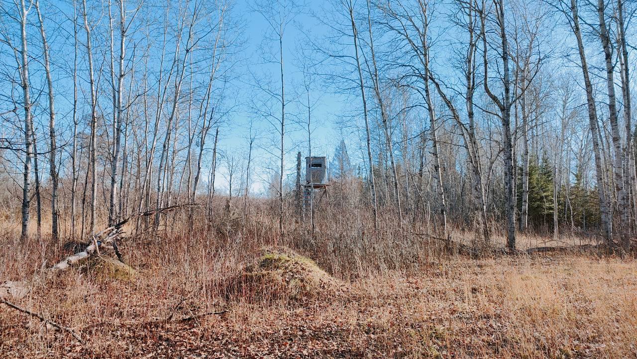 10478 Leander Road Angora, MN 55703 - Photo 31 of 35