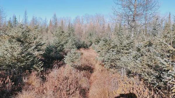 $195,000 | 10478 Leander Road, Angora, MN 55703