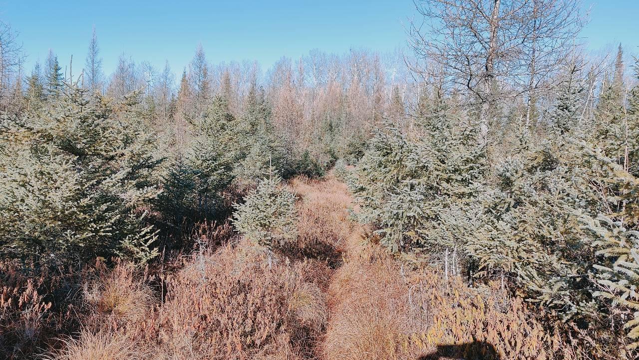 10478 Leander Road Angora, MN 55703 - Photo 32 of 35