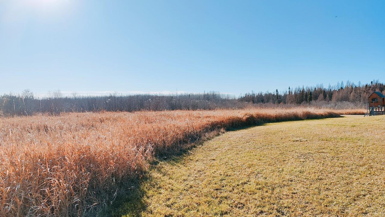 10478 Leander Road Angora, MN 55703 - Photo 34 of 35