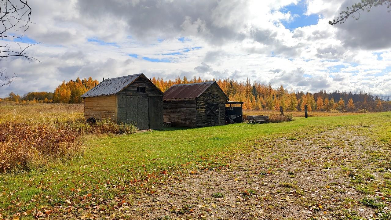 10478 Leander Road Angora, MN 55703 - Photo 4 of 35