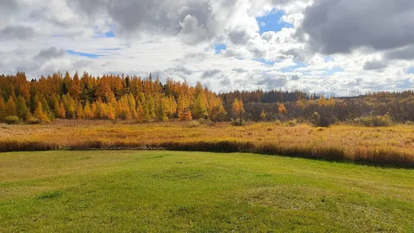 $195,000 | 10478 Leander Road, Angora, MN 55703