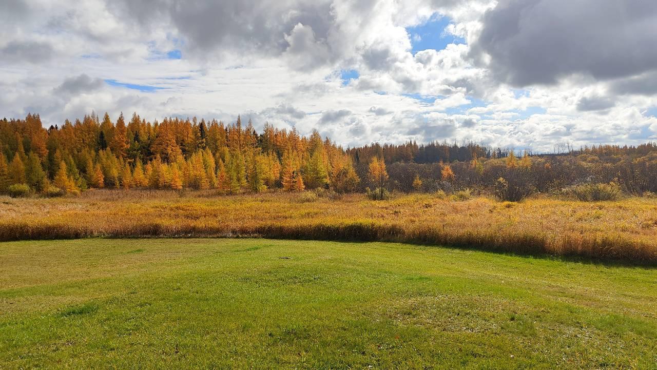10478 Leander Road Angora, MN 55703 - Photo 9 of 35