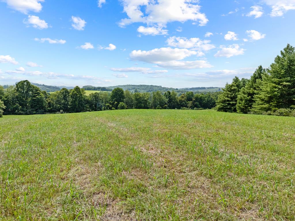 0 Canning Factory Road Southwest, Unit 659 Floyd, VA 24091 - Photo 29 of 49 Gallery Image 29