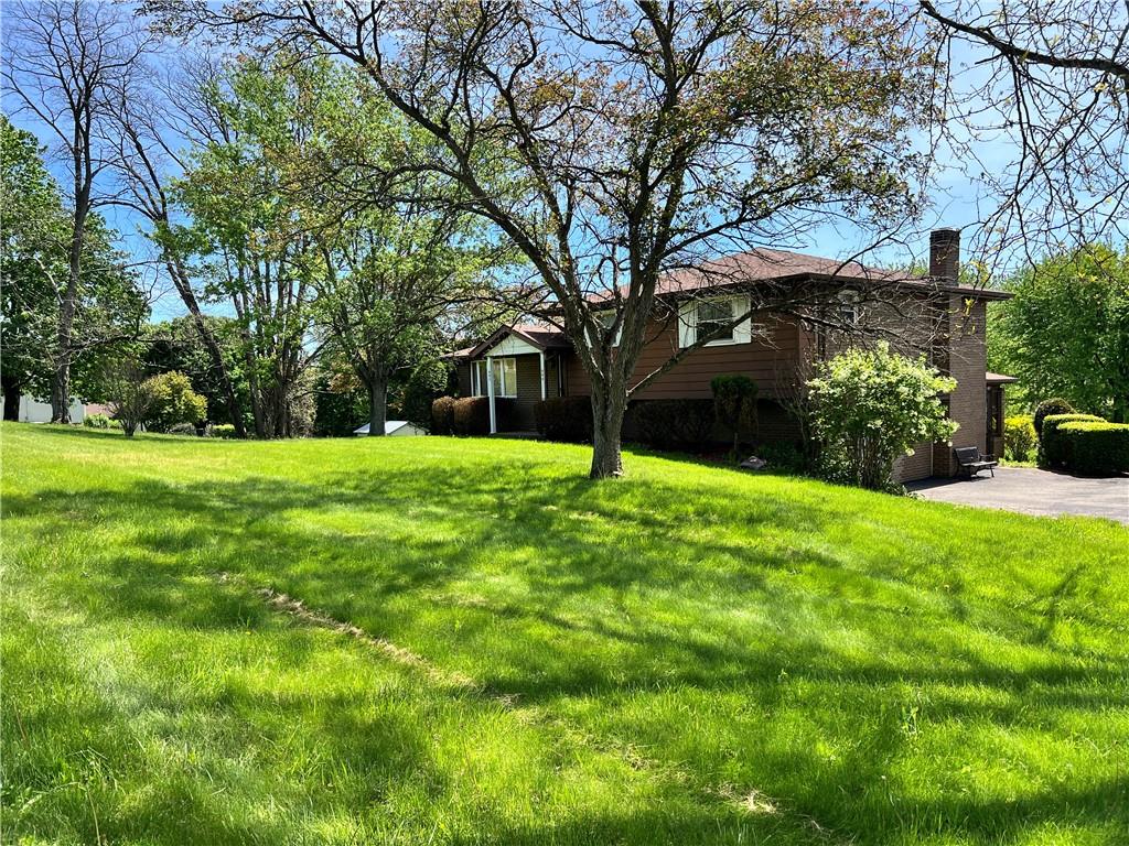 880 Pizza Barn Road Blairsville, PA 15717 - Photo 1 of 44 a view of a house with a yard