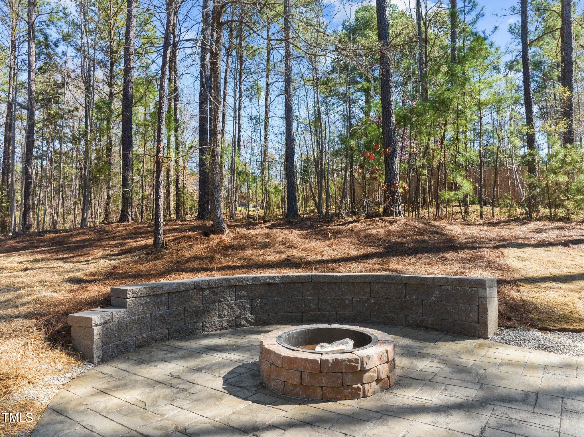 2009 Delphi Way Wake Forest, NC 27587 - Photo 36 of 40 a view of a water fountain and trees